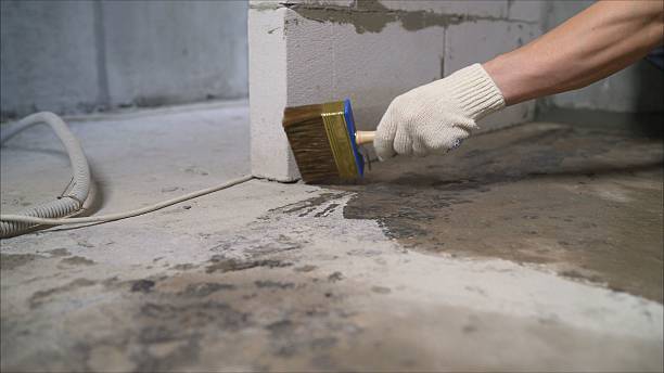 SJ Waterproofing Pros Waterproofing coverage map for Crown Point, IN and surrounding area